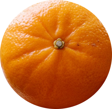 Mandarina